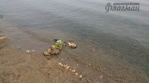 DSC_20220808111835_0253